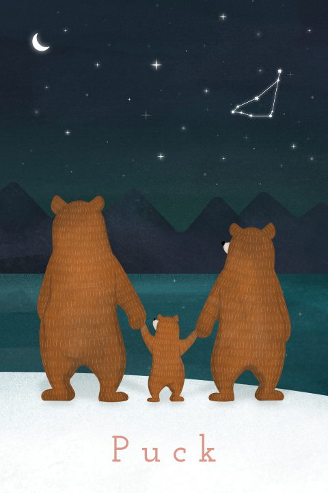geboortekaartje winter met beren kijkend naar sterren dubbel